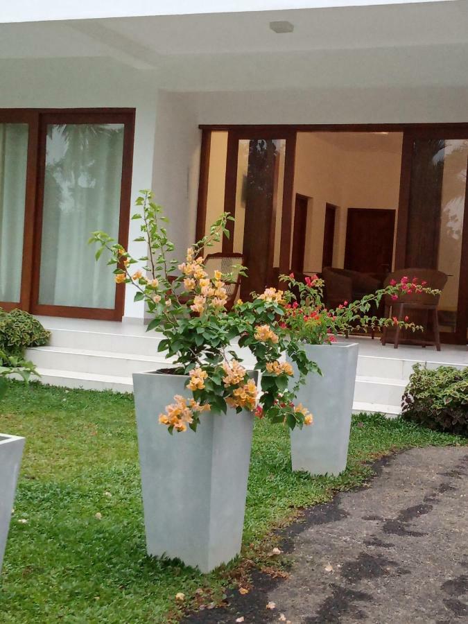 Colibri Villa Maggona Exterior photo