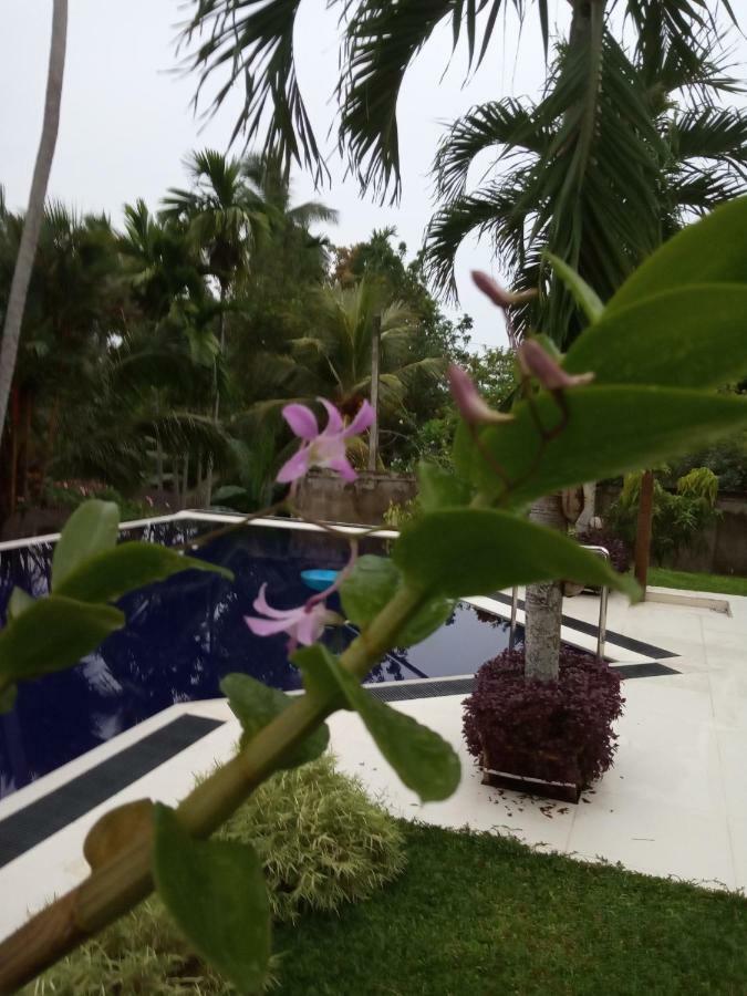 Colibri Villa Maggona Exterior photo
